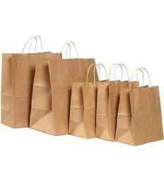 Brown Paper Bag with Handle